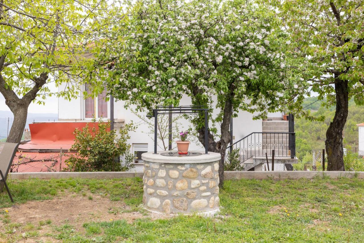 Archontiko Fotini - Traditional Guesthouse Meteora Kalambaka Bagian luar foto